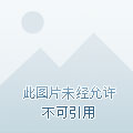 女相重生之毒女归来