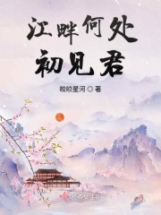 梅府有女初成妃